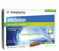 Arkocean Magnesium Marin Solution Buvable Caramel 20 Ampoules/10ml à Clermont-Ferrand